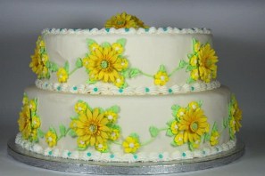 The two dummy layers, completed